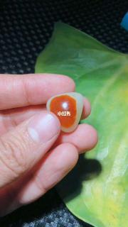 和田玉原石籽料 红皮白肉小精品,包金挂件