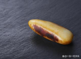 知识+|子玉之万年黑皮